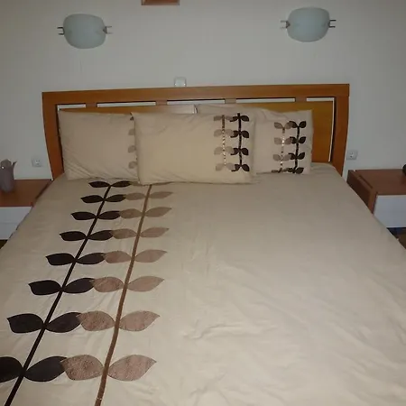 Wood In Oasis * Камчия